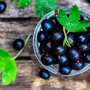 Black currant