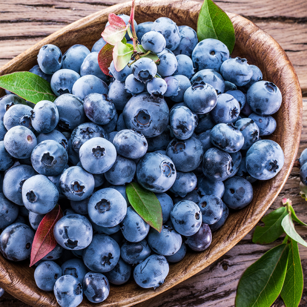 Blueberry