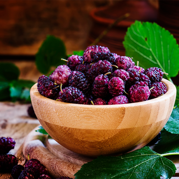 Mulberry