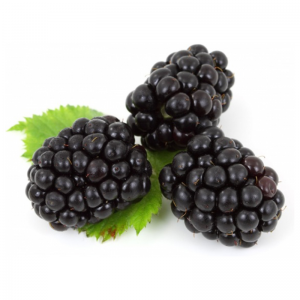 BlackBerry