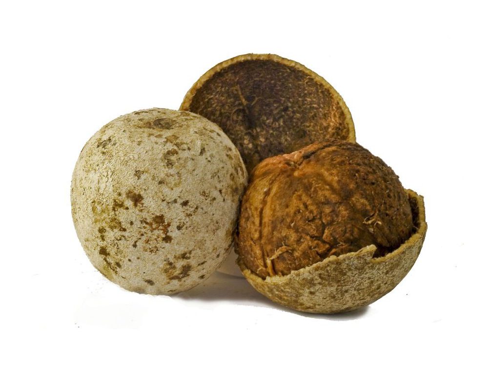 Wood Apple