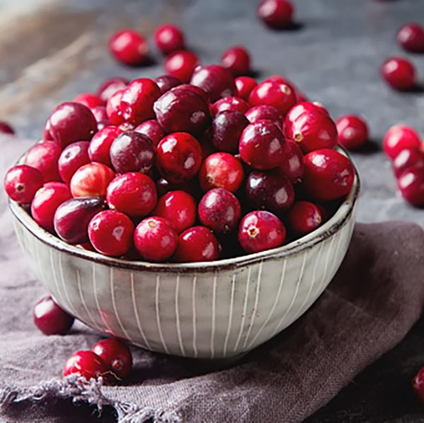 cranberry