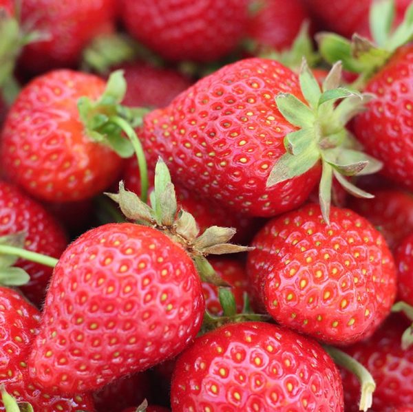 strawberry