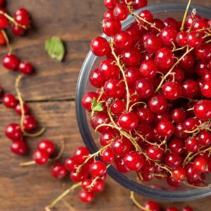 Red Currant